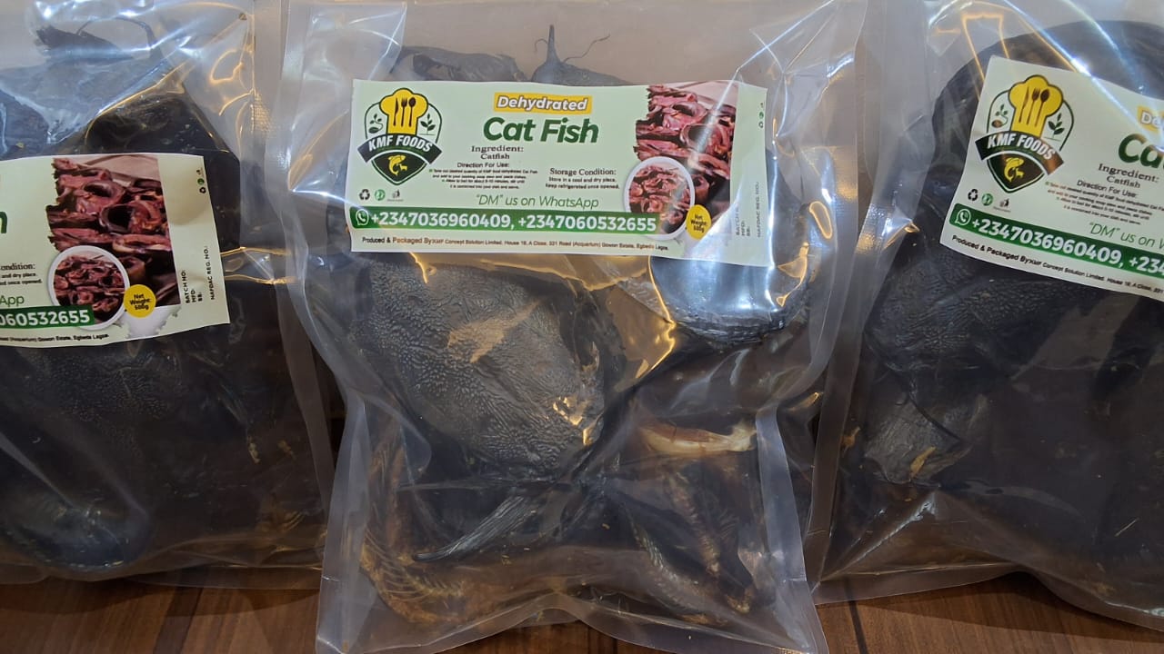 Dried Catfish